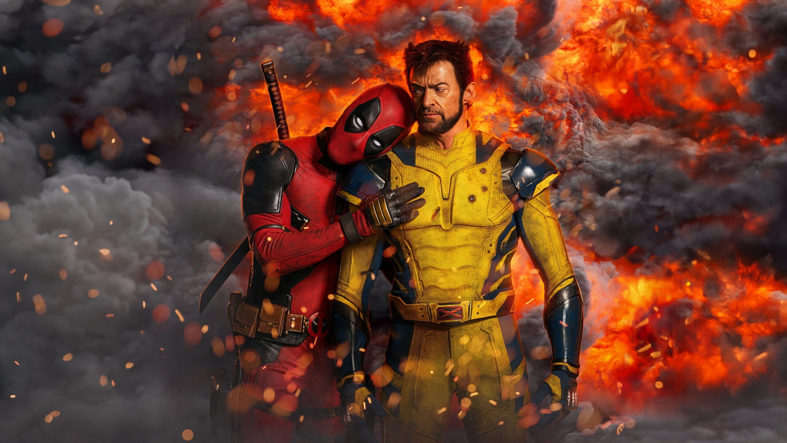 video-section-banner-image