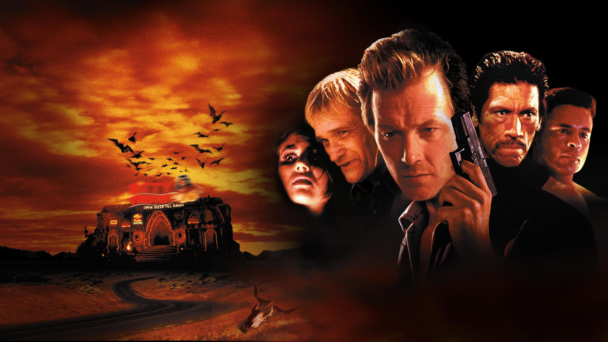 video-section-banner-image