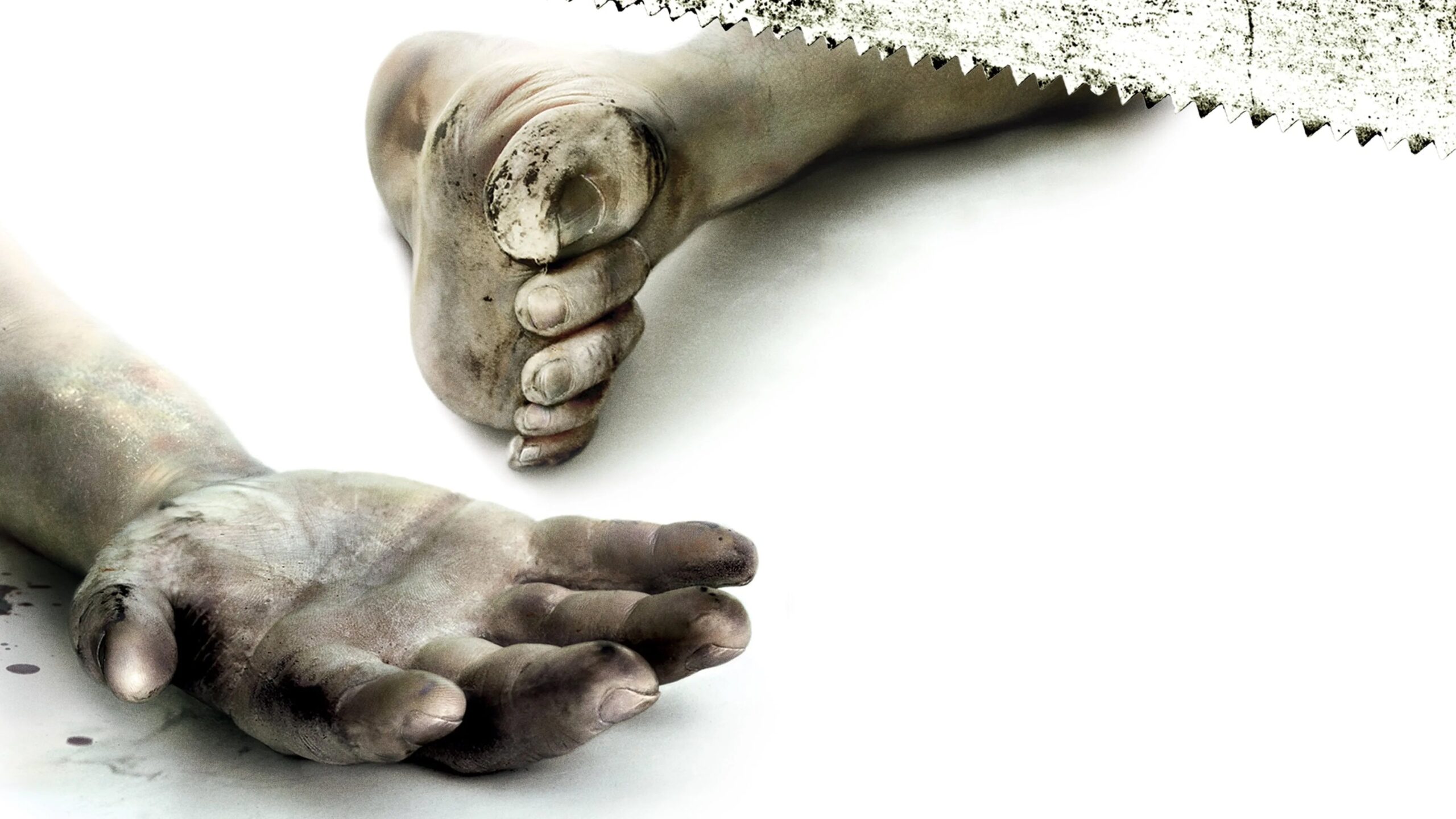 video-section-banner-image